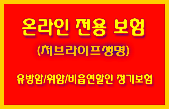 [처브라이프생명보험] 보험료가 저렴한 온라인전용 보험 가입 사이트 알아볼게요