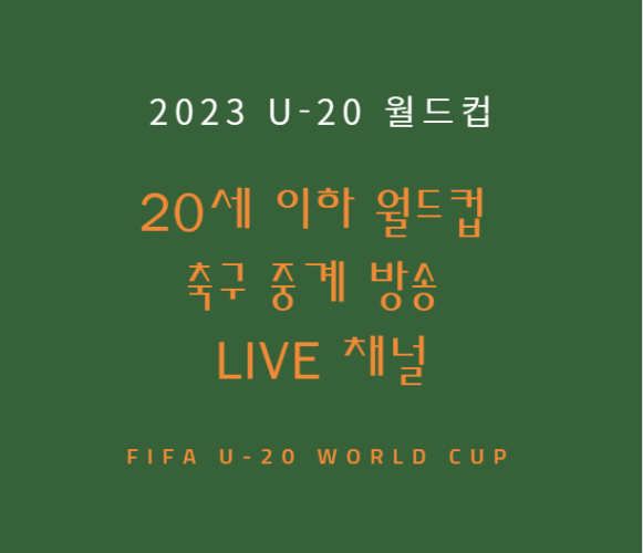 20세 이하(U-20) 월드컵 축구 중계 방송 LIVE 채널 경기 일정