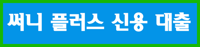 [써니플러스] 돈필요할때 맞춤대출 설계로 간편하게 대출해줍니다.