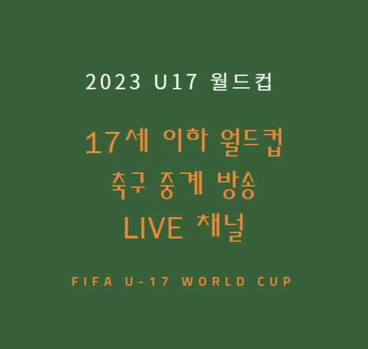 2023 u17 월드컵 중계 방송 LIVE 채널 | 17세 이하(U-17) 월드컵