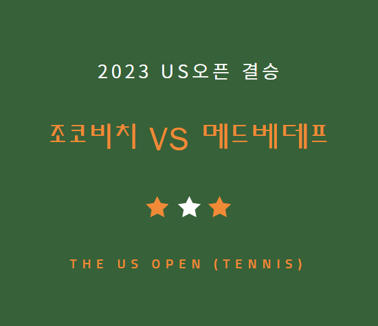 US오픈 테니스 결승 조코비치 메드베데프 중계 일정