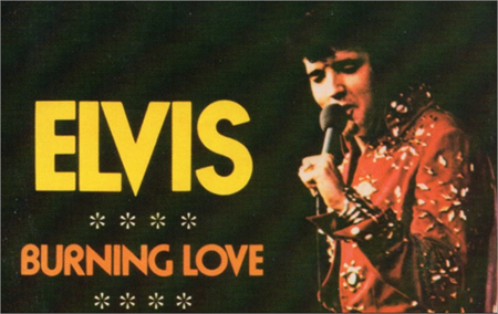 [노래/가사/해석] Burning Love - 엘비스 프레슬리(Elvis Presley)