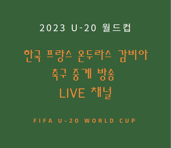 한국 프랑스 온두라스 감비아 중계 방송 LIVE 채널 | u20 월드컵 F조 경기 일정